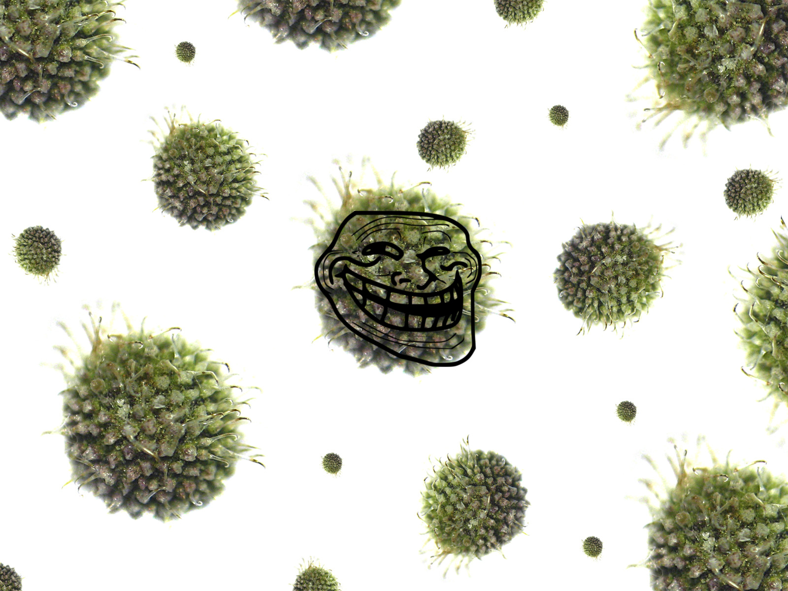 Cover image for Numérisation forcée et coût des habitudes